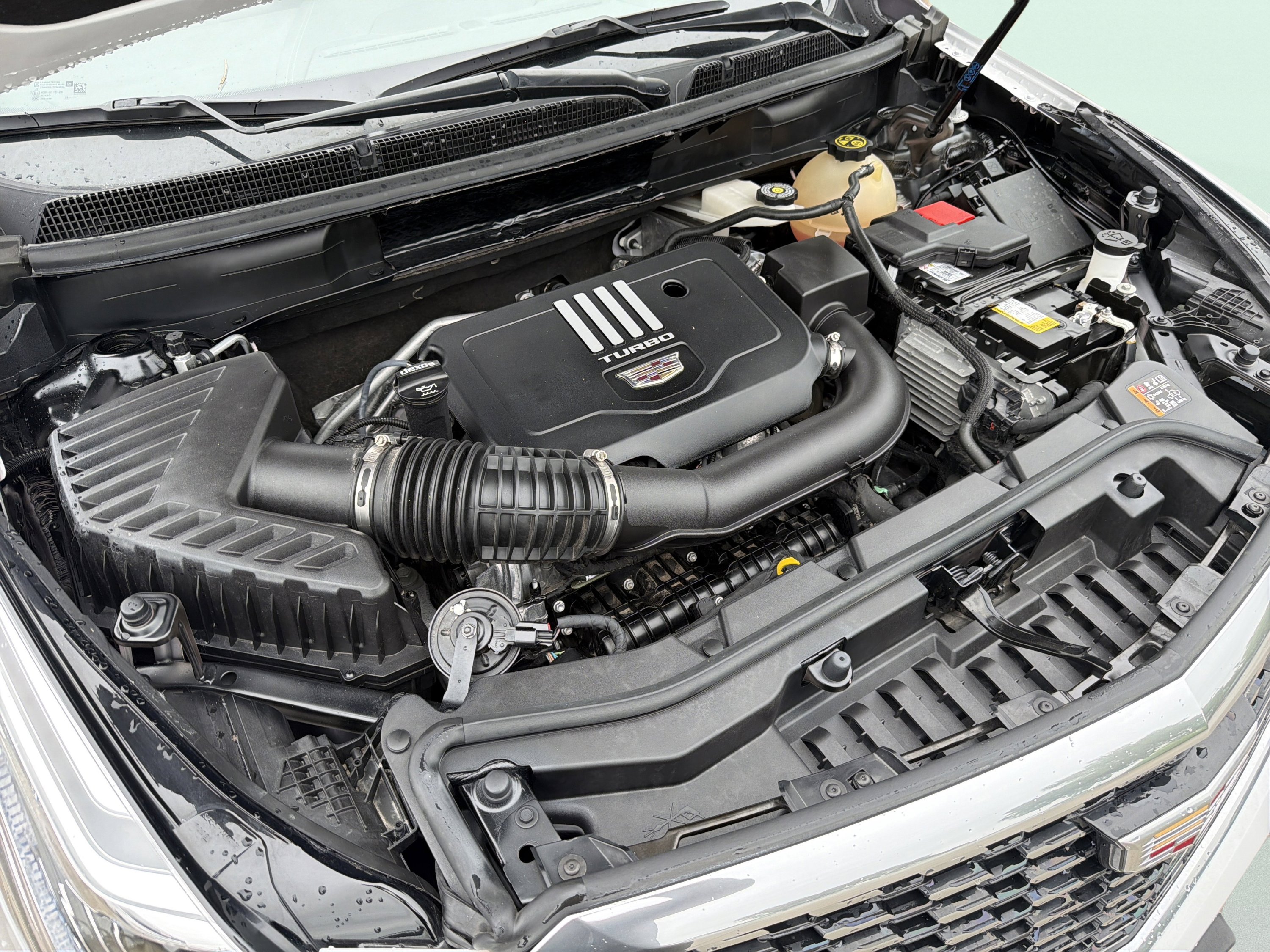 Used 2024 Cadillac XT5 Premium Luxury image 9