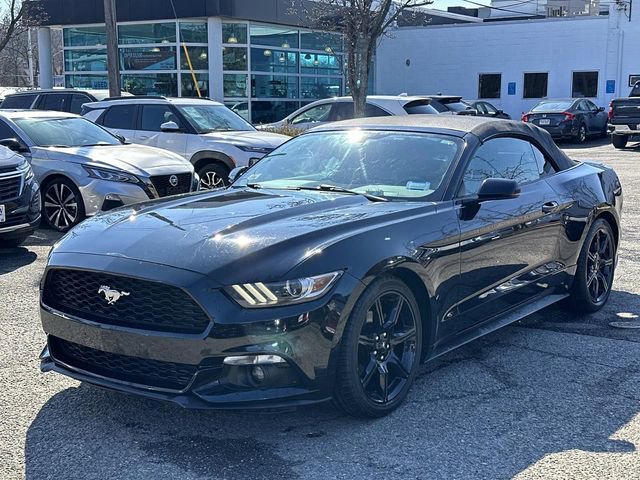 Used 2017 Ford Mustang Premium image 5