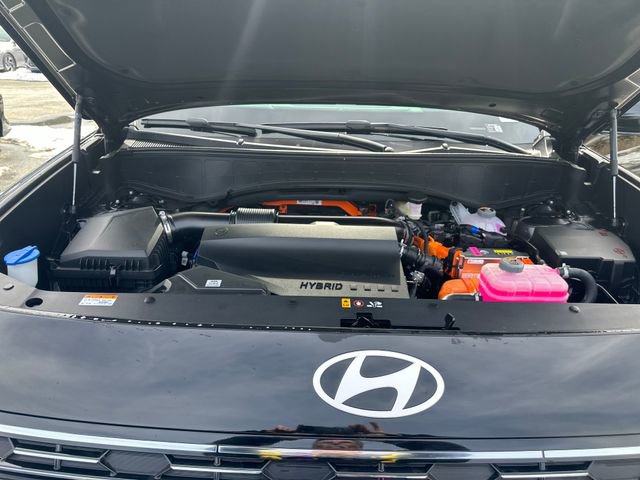 New 2026 Hyundai Palisade Calligraphy image 25