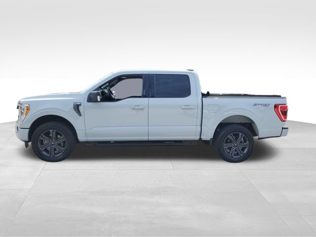 Used 2023 Ford F150 XLT w/ Equipment Group 302A High AWD/4WD image 7