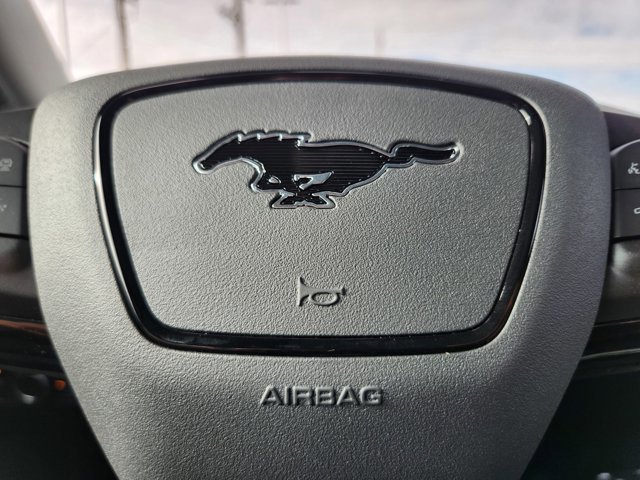 New 2025 Ford Mustang Mach-E Premium AWD/4WD image 19