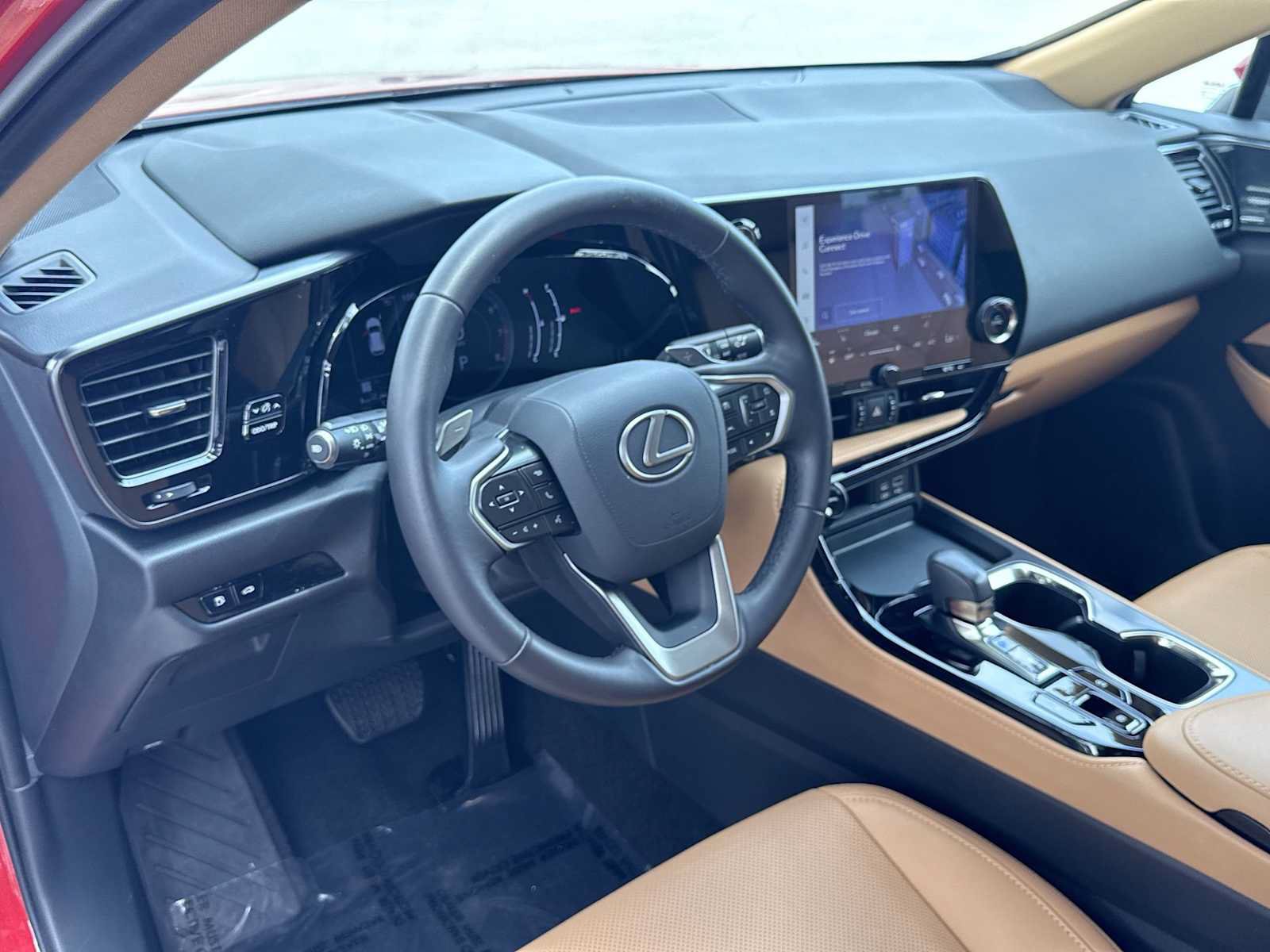 Used 2024 Lexus NX 250 FWD w/ Cold Area Package image 13