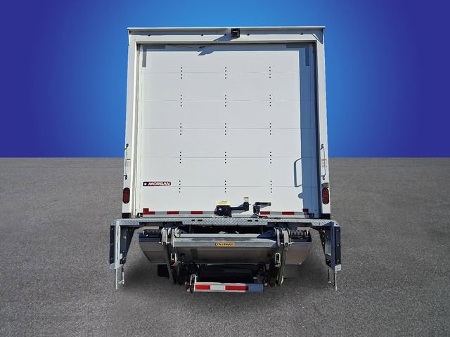 Used 2023 Ford F650 2WD Regular Cab Super Duty image 5