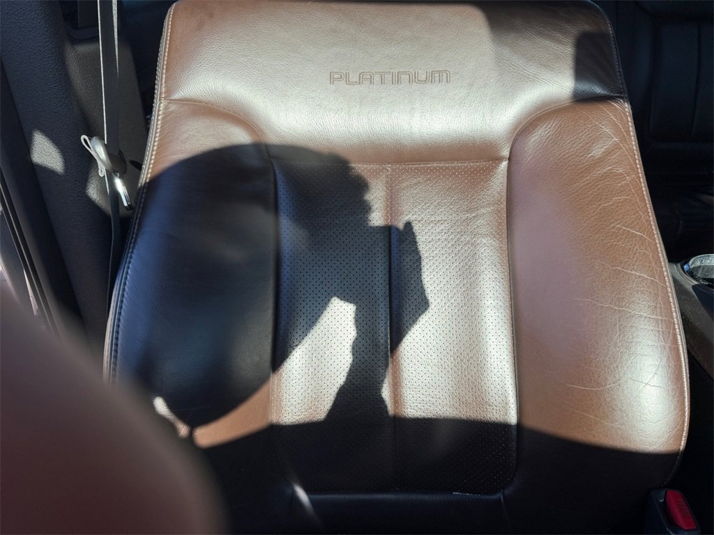 Used 2009 Ford F150 Platinum image 32