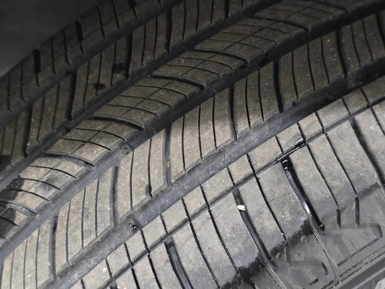 Certified 2025 Toyota RAV4 XLE Premium w/ Weather Package image 14