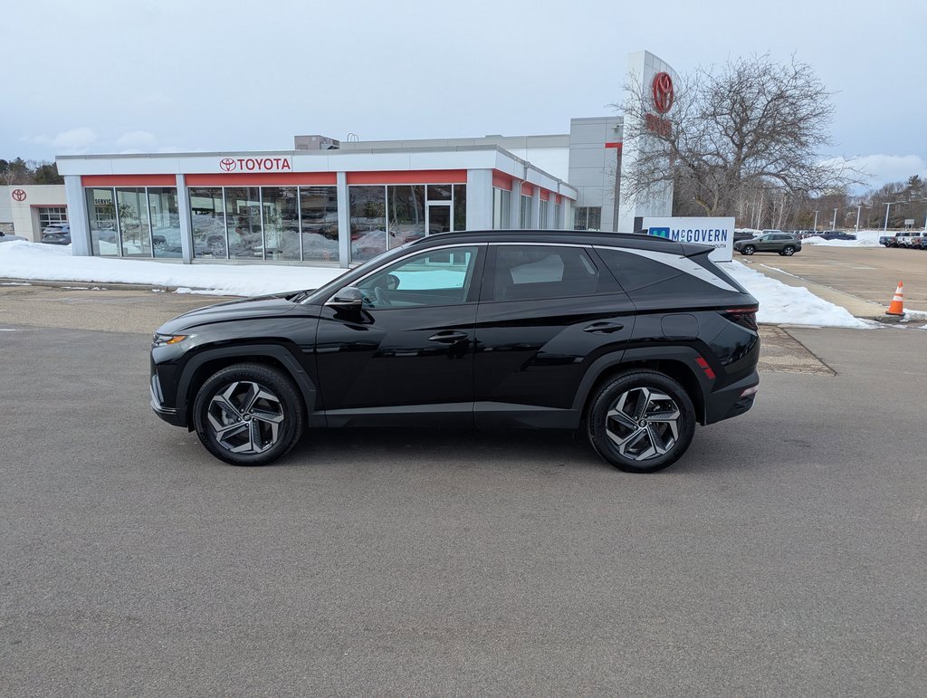 Used 2024 Hyundai Tucson Limited image 2