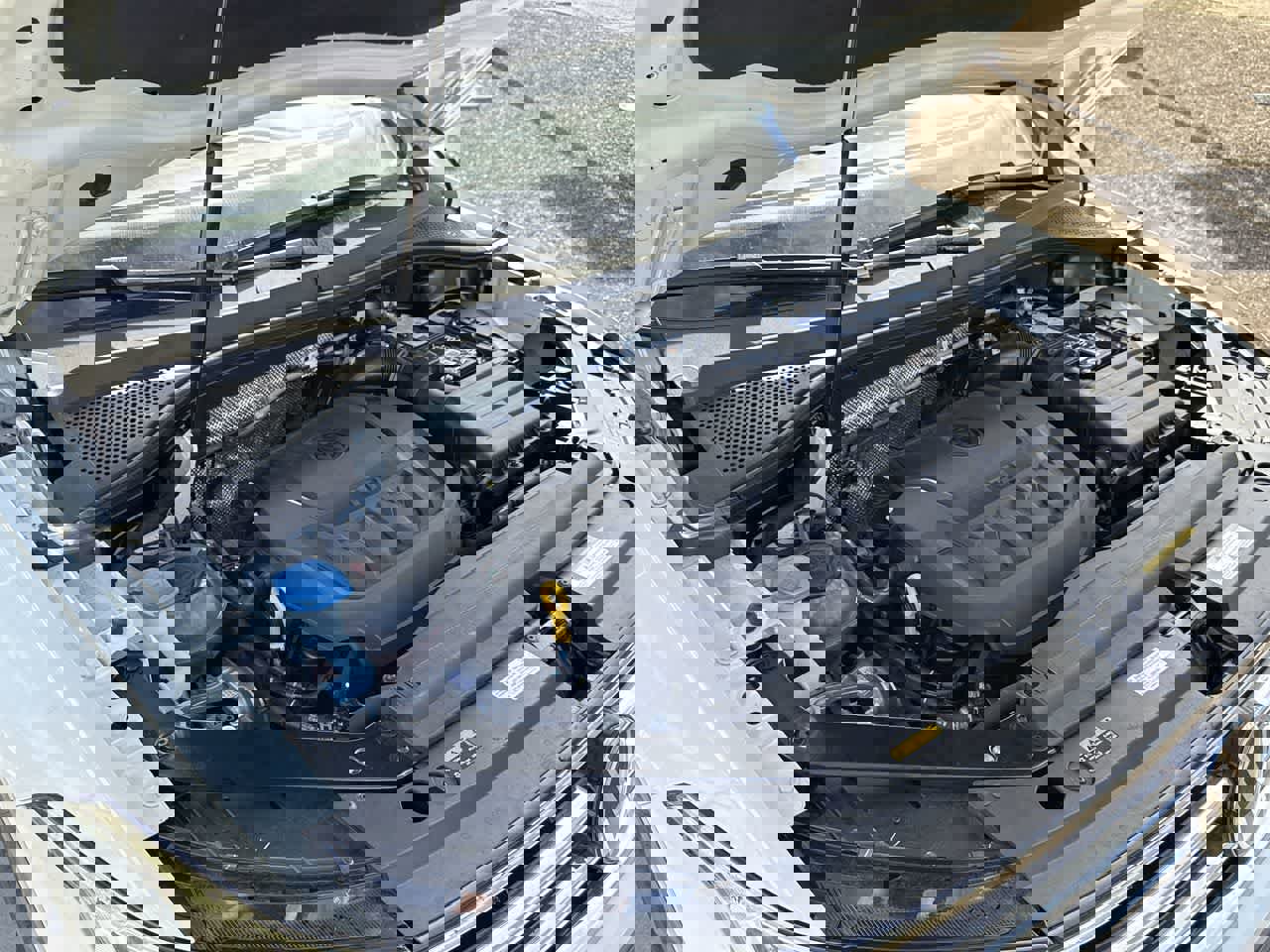 Used 2024 Volkswagen Tiguan SE image 7