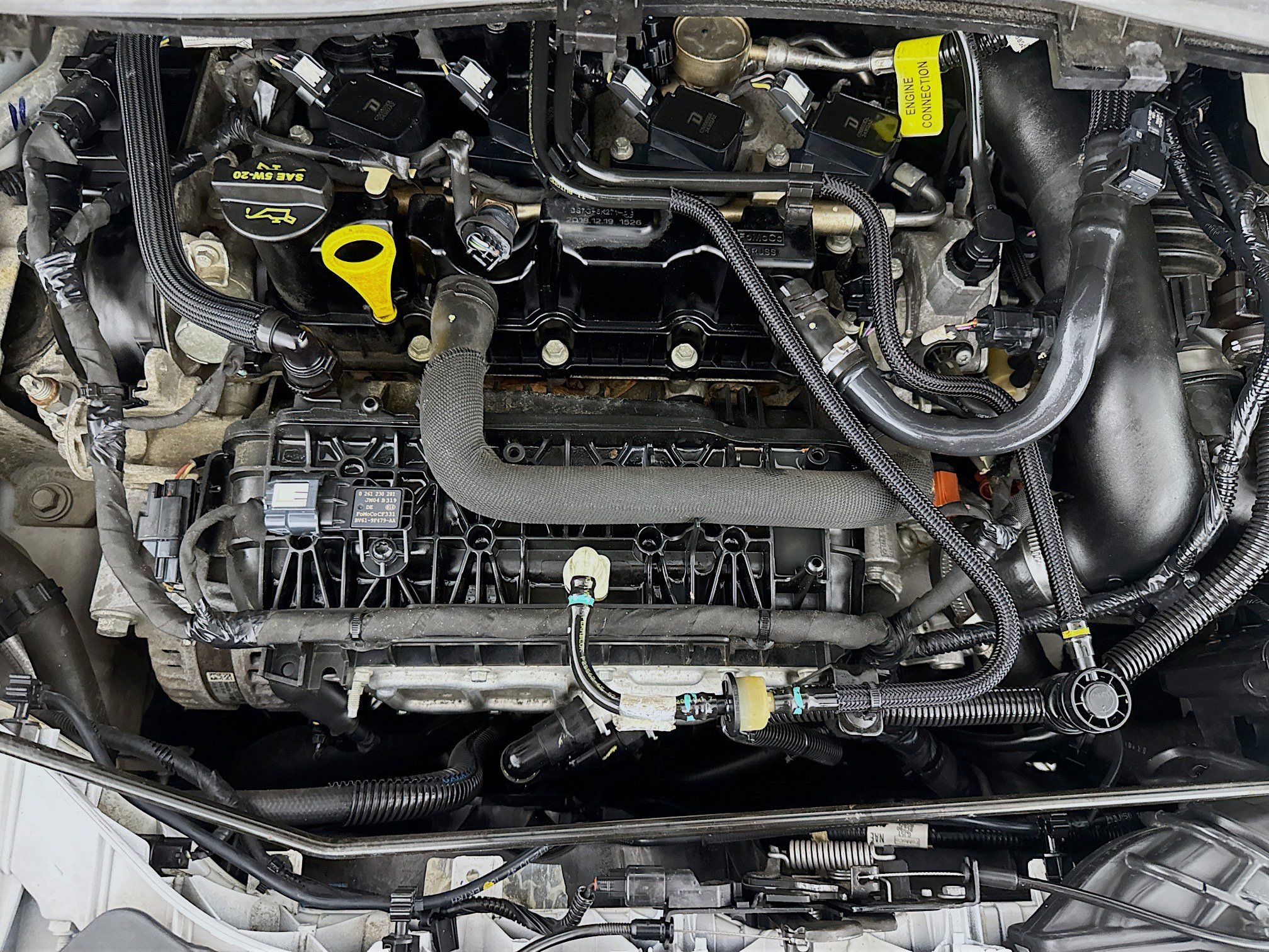 Used 2019 Ford Escape SE FWD image 34