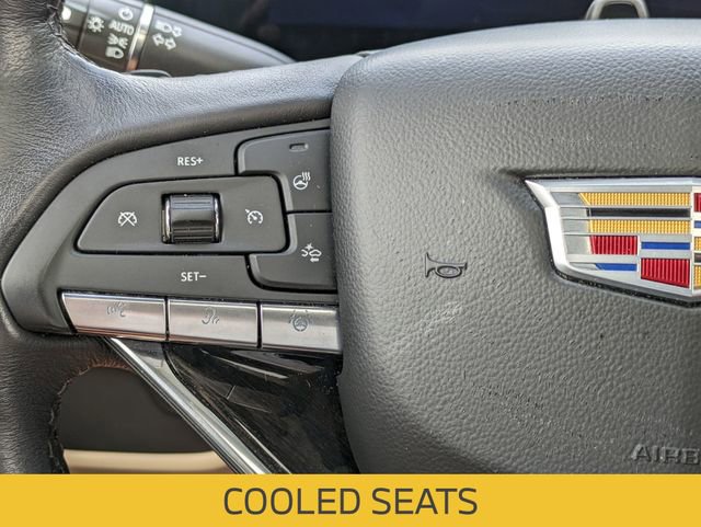Used 2024 Cadillac Escalade Premium Luxury image 19