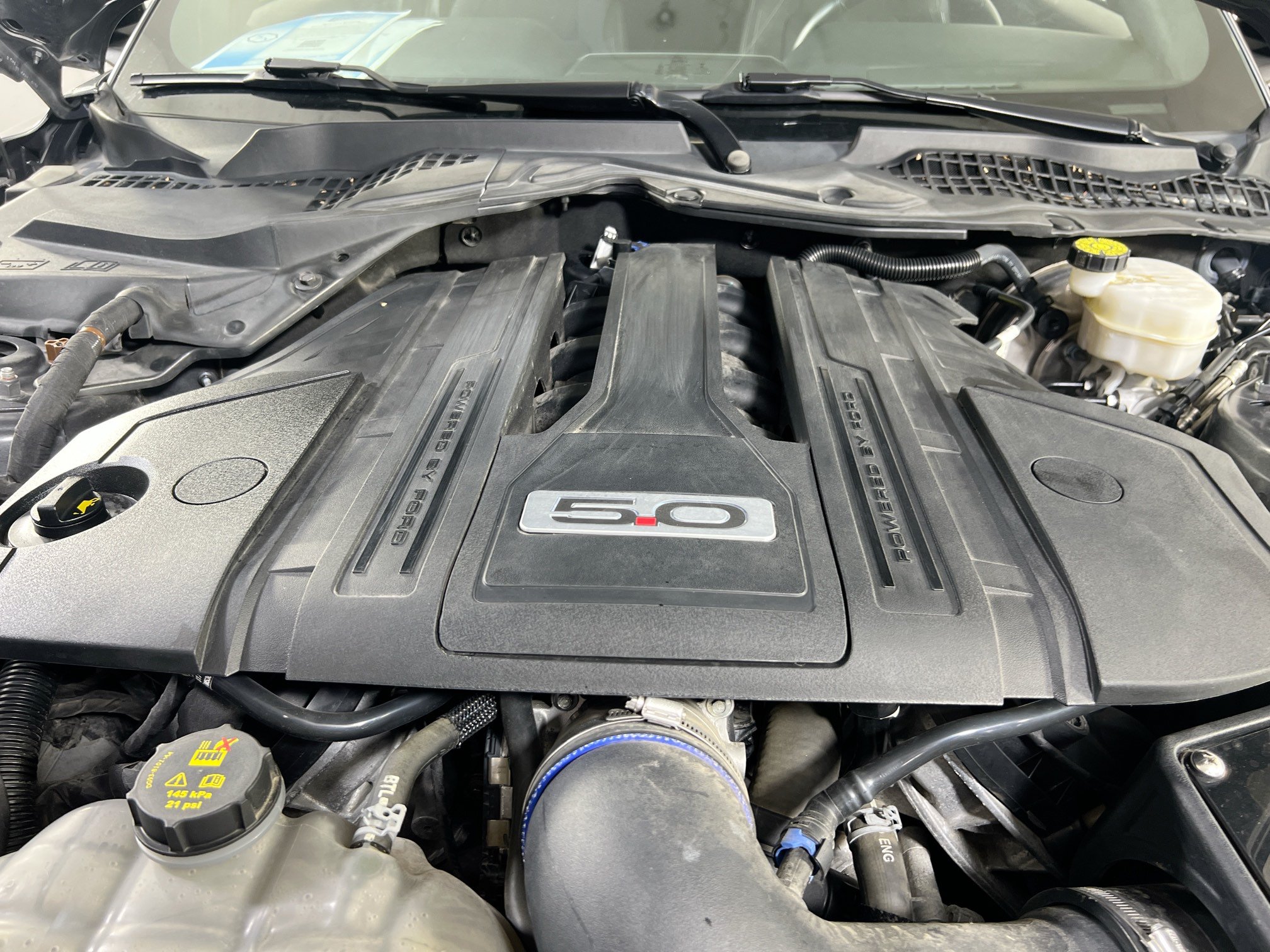 Used 2022 Ford Mustang GT w/ Equipment Group 301A RWD image 28