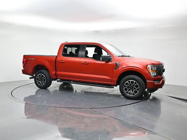Used 2023 Ford F150 XLT w/ Equipment Group 302A High AWD/4WD image 3