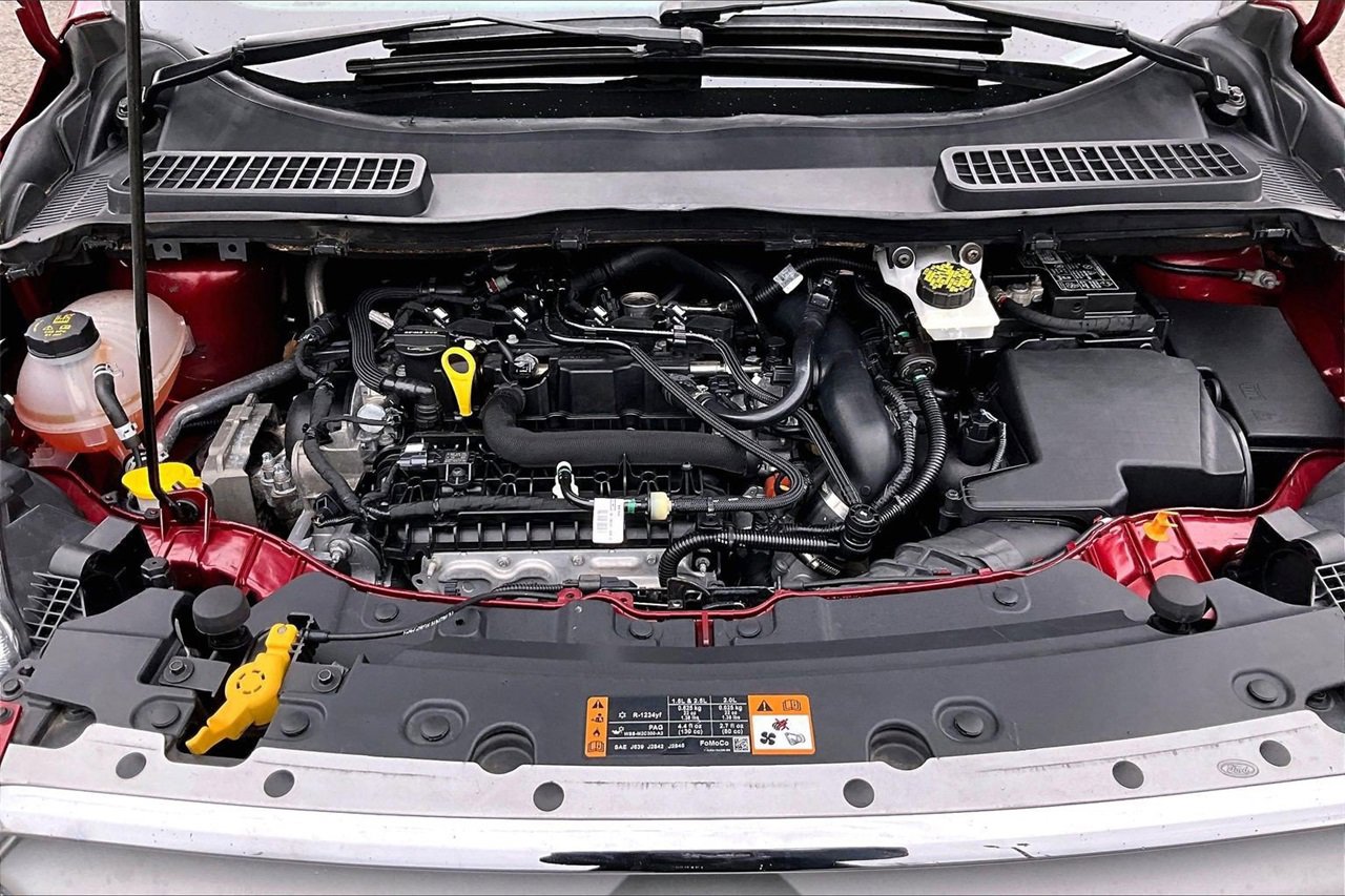 Used 2019 Ford Escape SE image 35