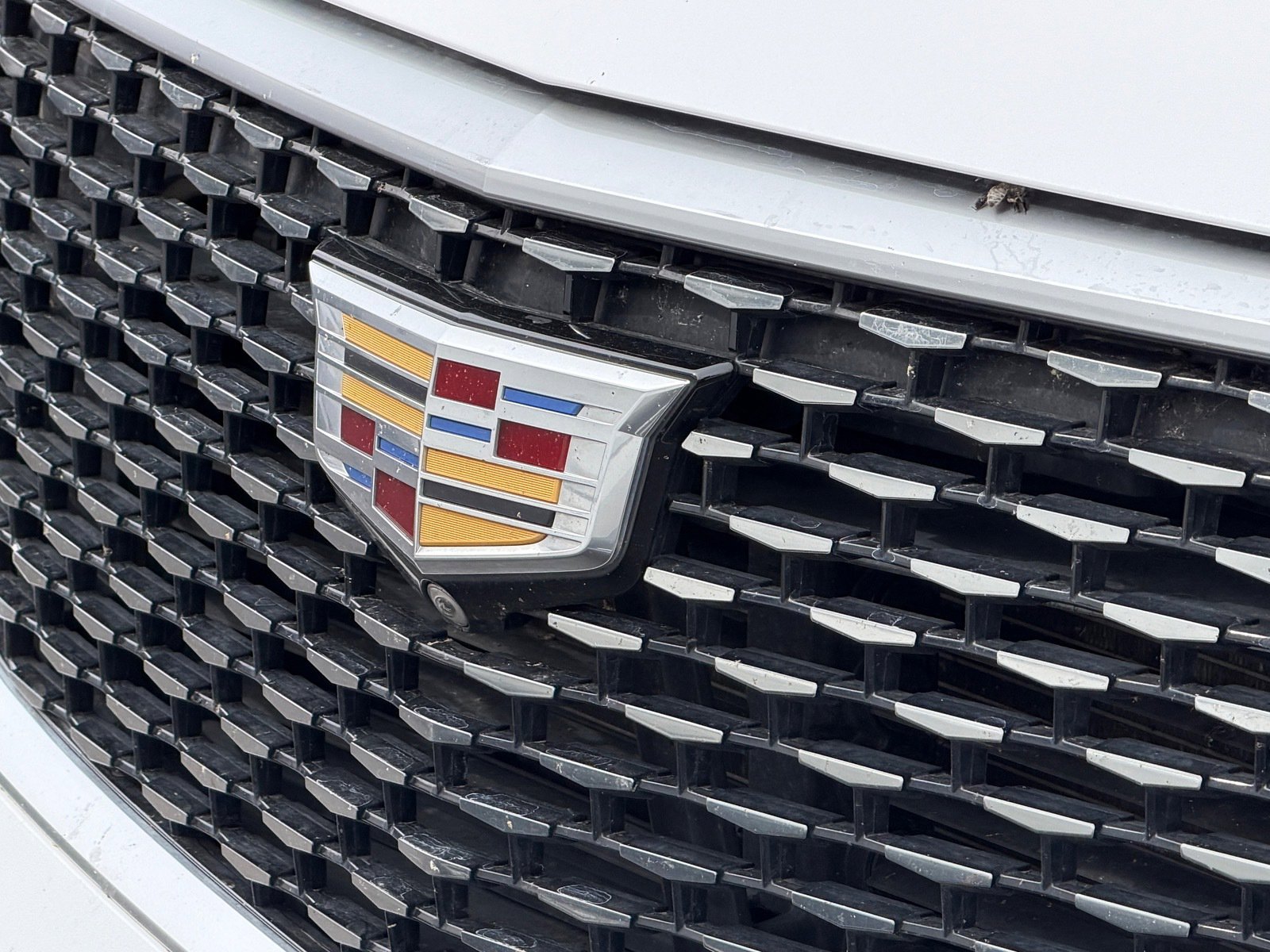 Used 2020 Cadillac XT6 Premium Luxury w/ Platinum Package AWD/4WD image 9