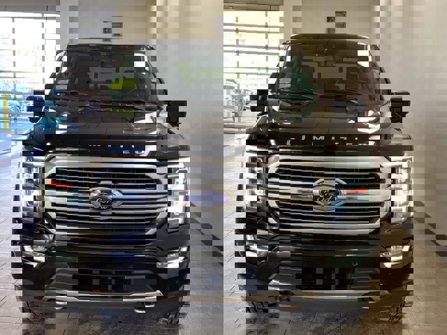 Certified 2021 Ford F150 Limited image 3