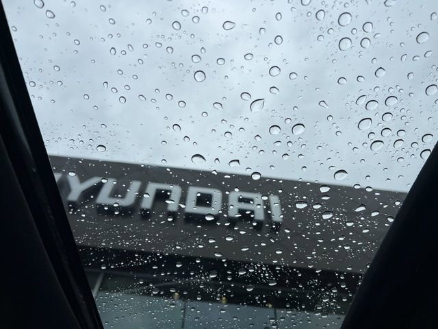 New 2025 Hyundai Palisade Calligraphy image 10