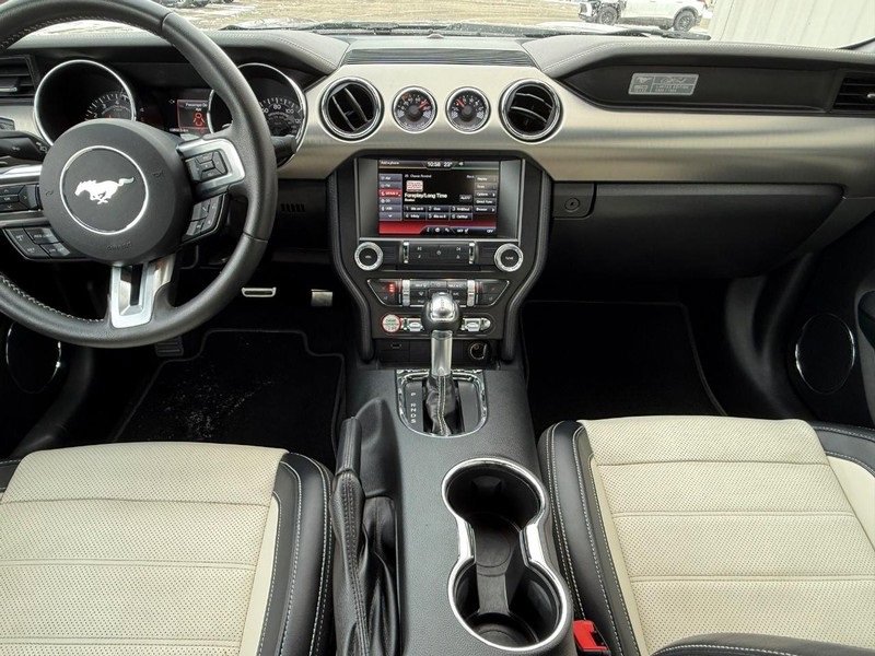 Used 2015 Ford Mustang 50 Years image 9