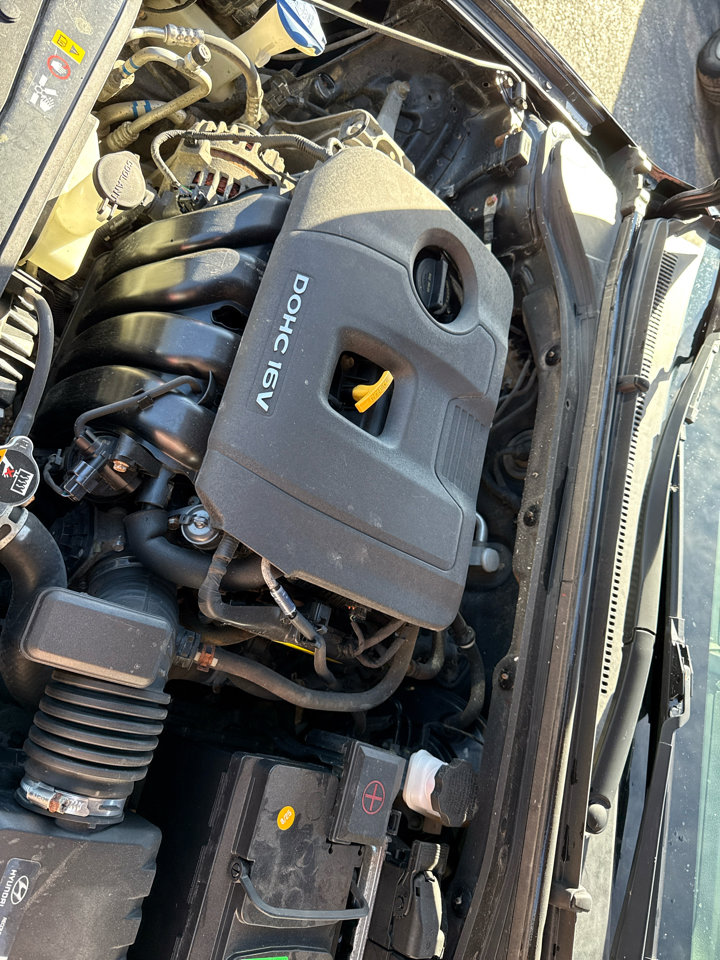 Used 2017 Hyundai Elantra SE image 15