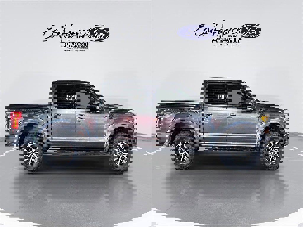 Used 2019 Ford F150 Raptor w/ Equipment Group 802A Luxury image 10