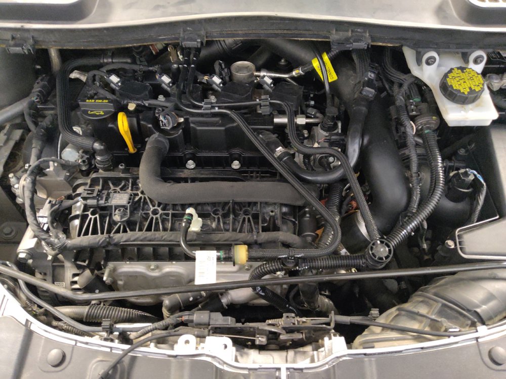 Used 2019 Ford Escape SEL FWD image 30