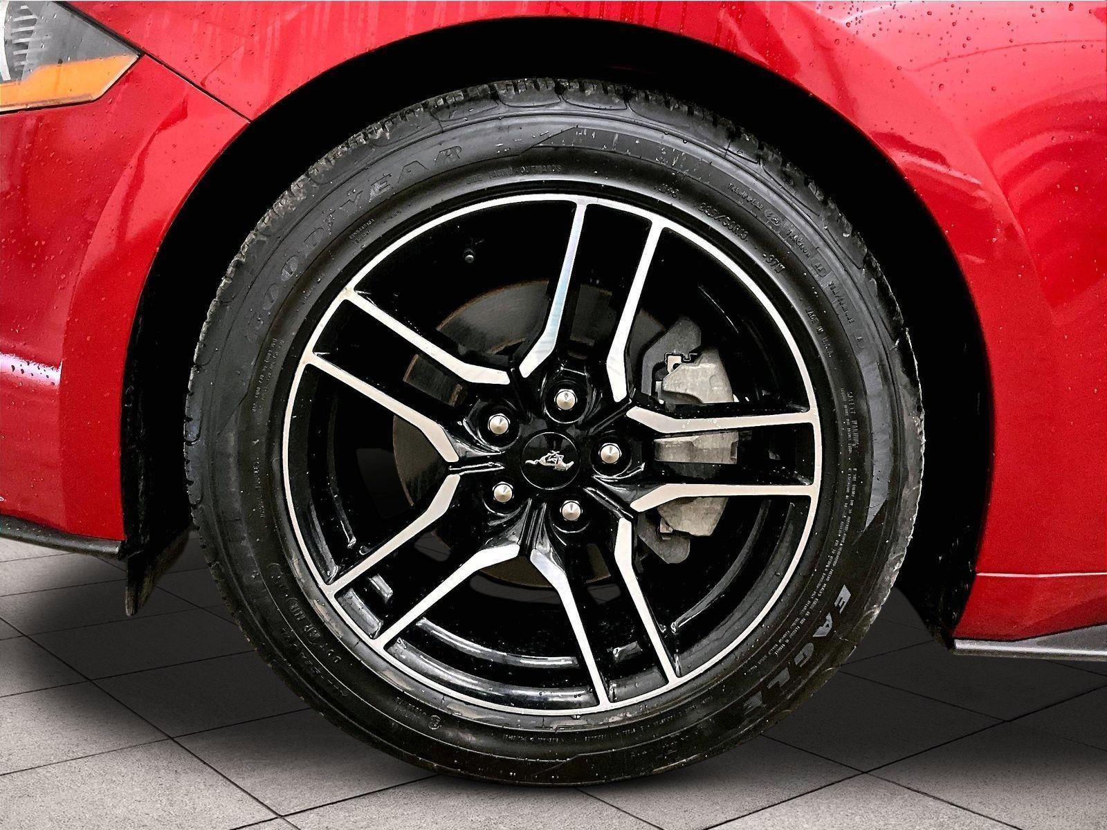 Used 2020 Ford Mustang Coupe w/ Equipment Group 101A image 8