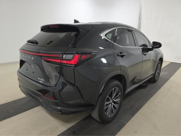 Used 2022 Lexus NX 350 AWD image 2