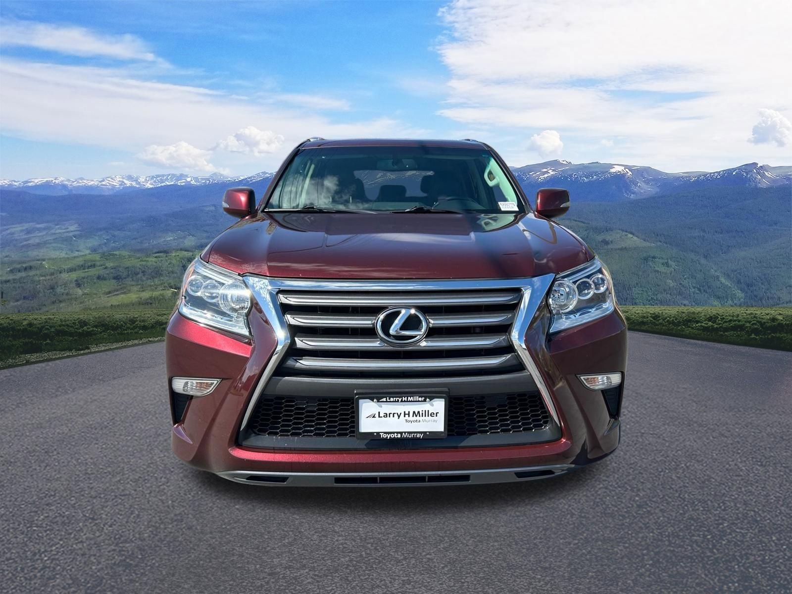 Used 2014 Lexus GX 460 image 9