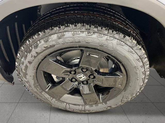 New 2026 Honda Ridgeline Black Edition image 12