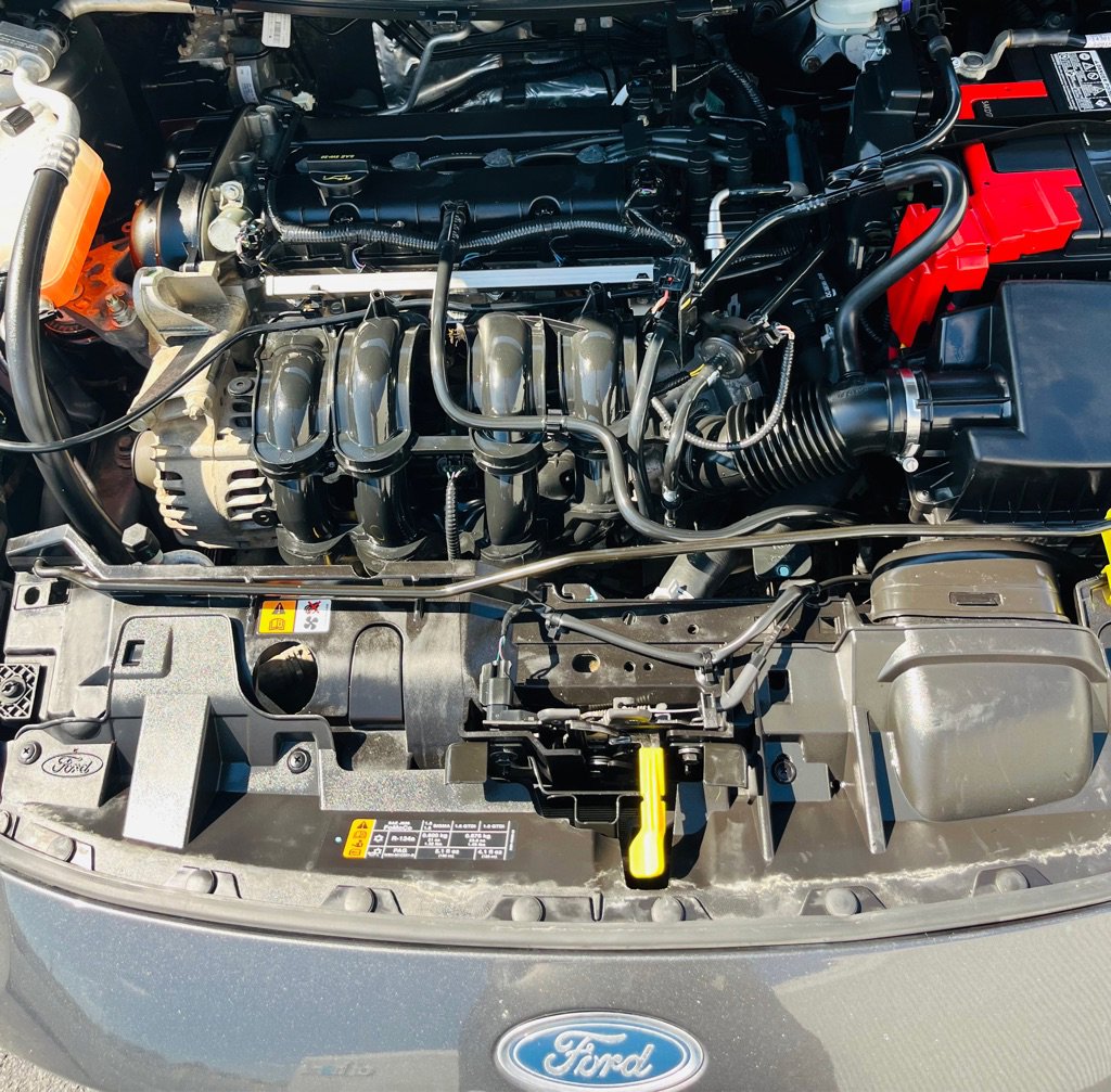 Used 2016 Ford Fiesta SE image 15