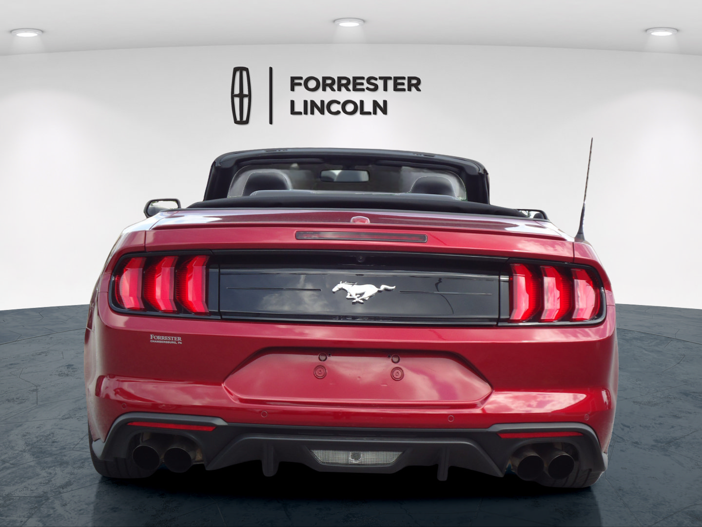 Used 2019 Ford Mustang Premium w/ Equipment Group 201A RWD image 4