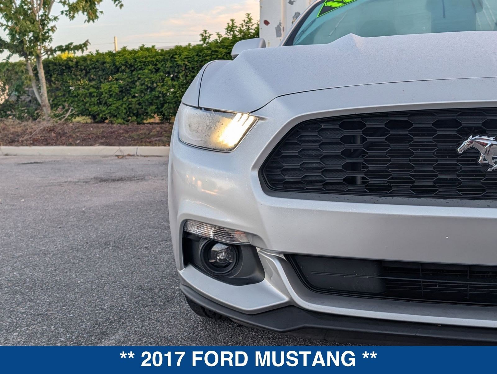 Used 2017 Ford Mustang Convertible w/ Equipment Group 051A RWD image 9