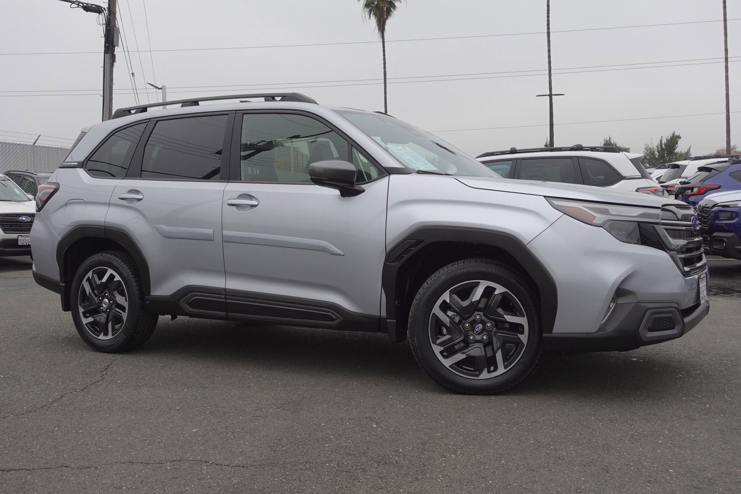 Certified 2025 Subaru Forester Limited image 4