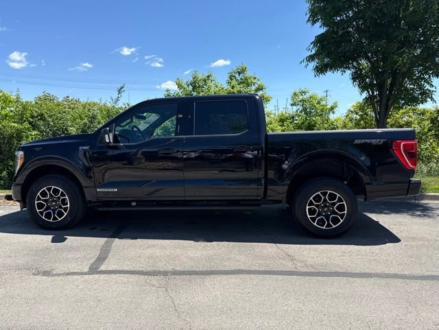 Used 2021 Ford F150 XLT w/ Equipment Group 302A High AWD/4WD image 5