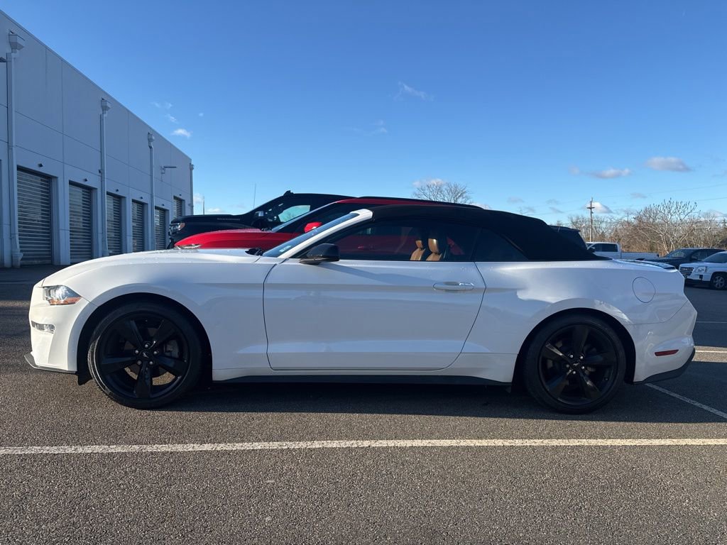 Used 2021 Ford Mustang Premium w/ Black Accent Package image 6