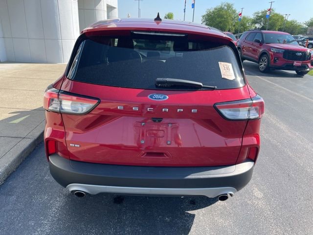 Used 2020 Ford Escape SE FWD image 6