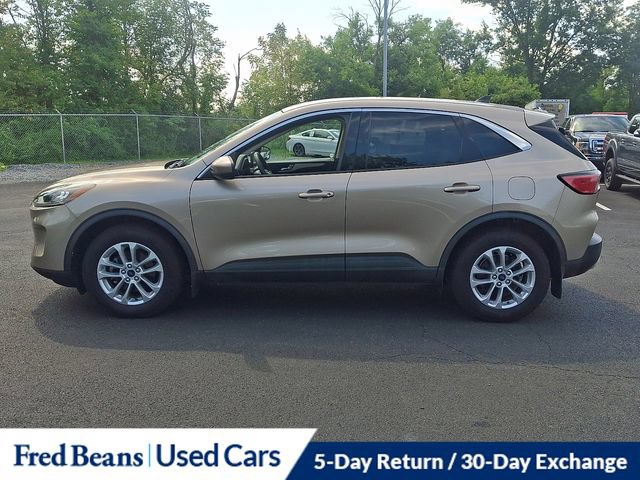 Used 2020 Ford Escape SE AWD/4WD image 8