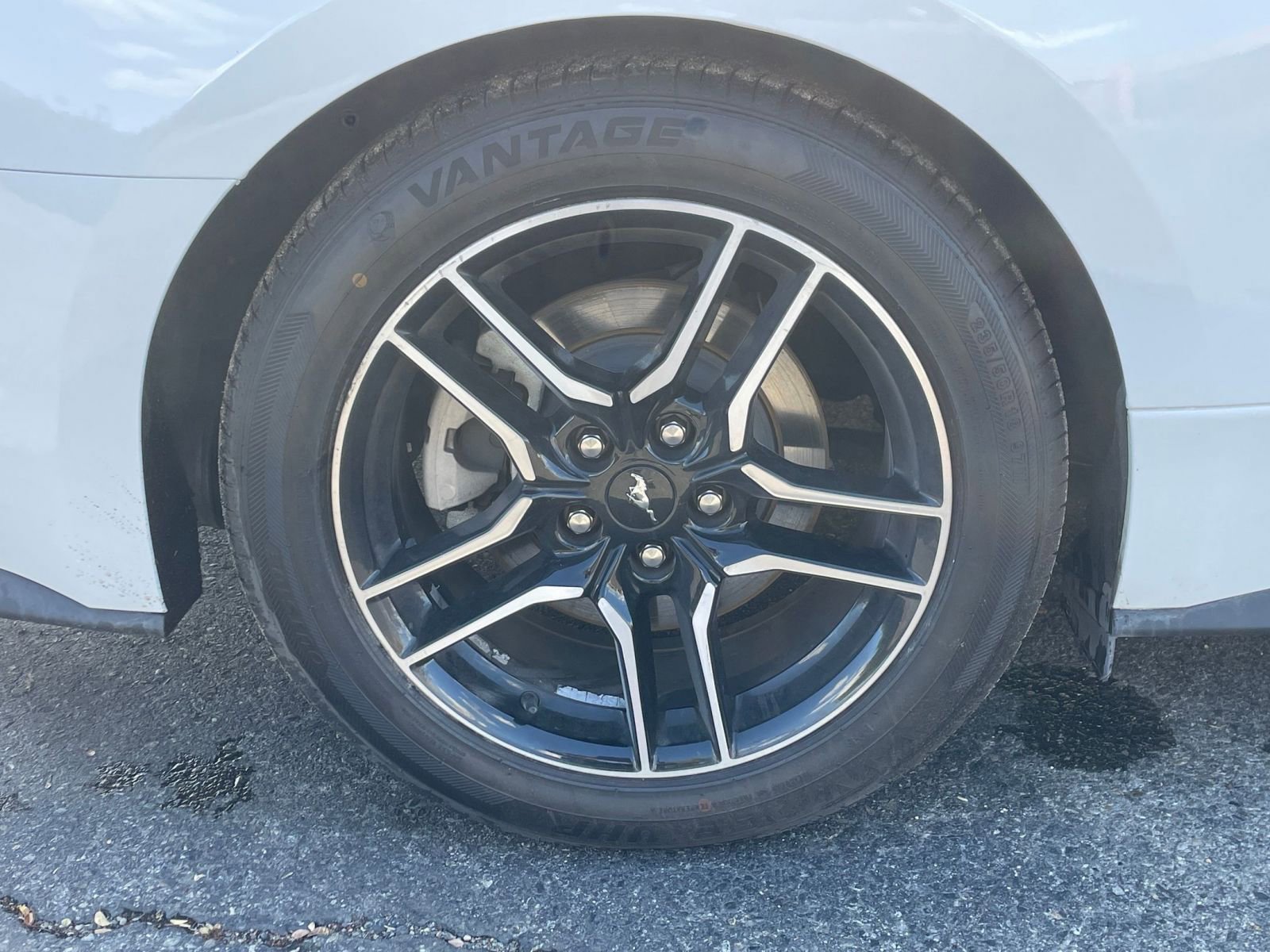 Used 2023 Ford Mustang Premium image 29