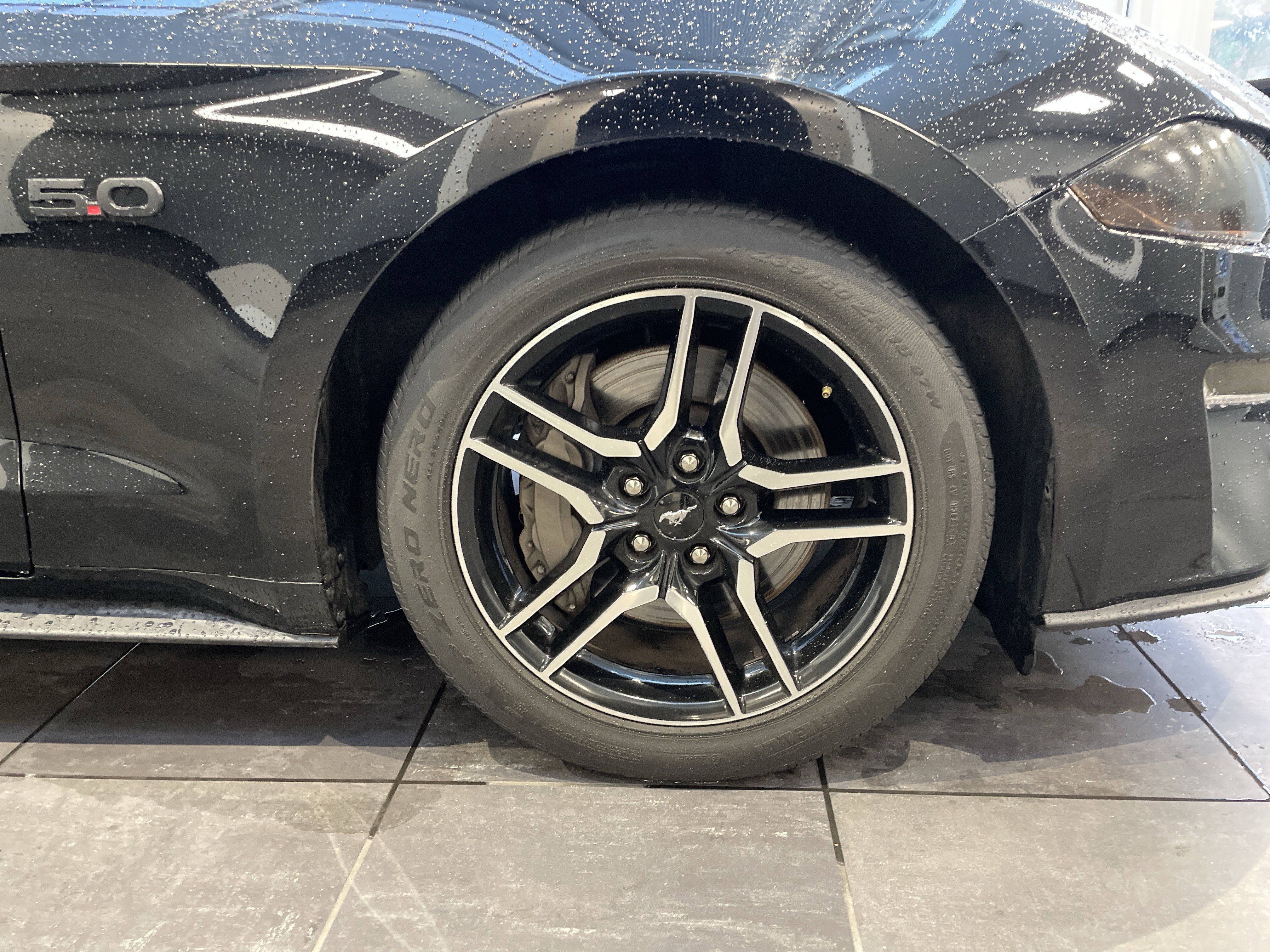 Used 2019 Ford Mustang GT Premium w/ Ford Safe & Smart Package RWD image 12