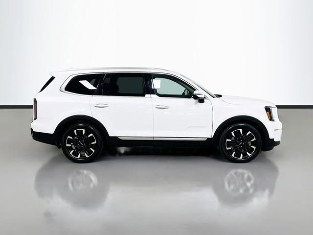 Certified 2024 Kia Telluride SX image 8