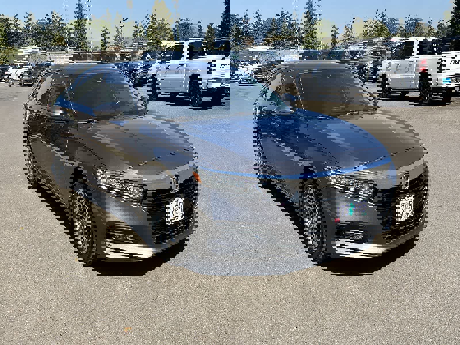 Used 2020 Honda Accord EX-L image 7