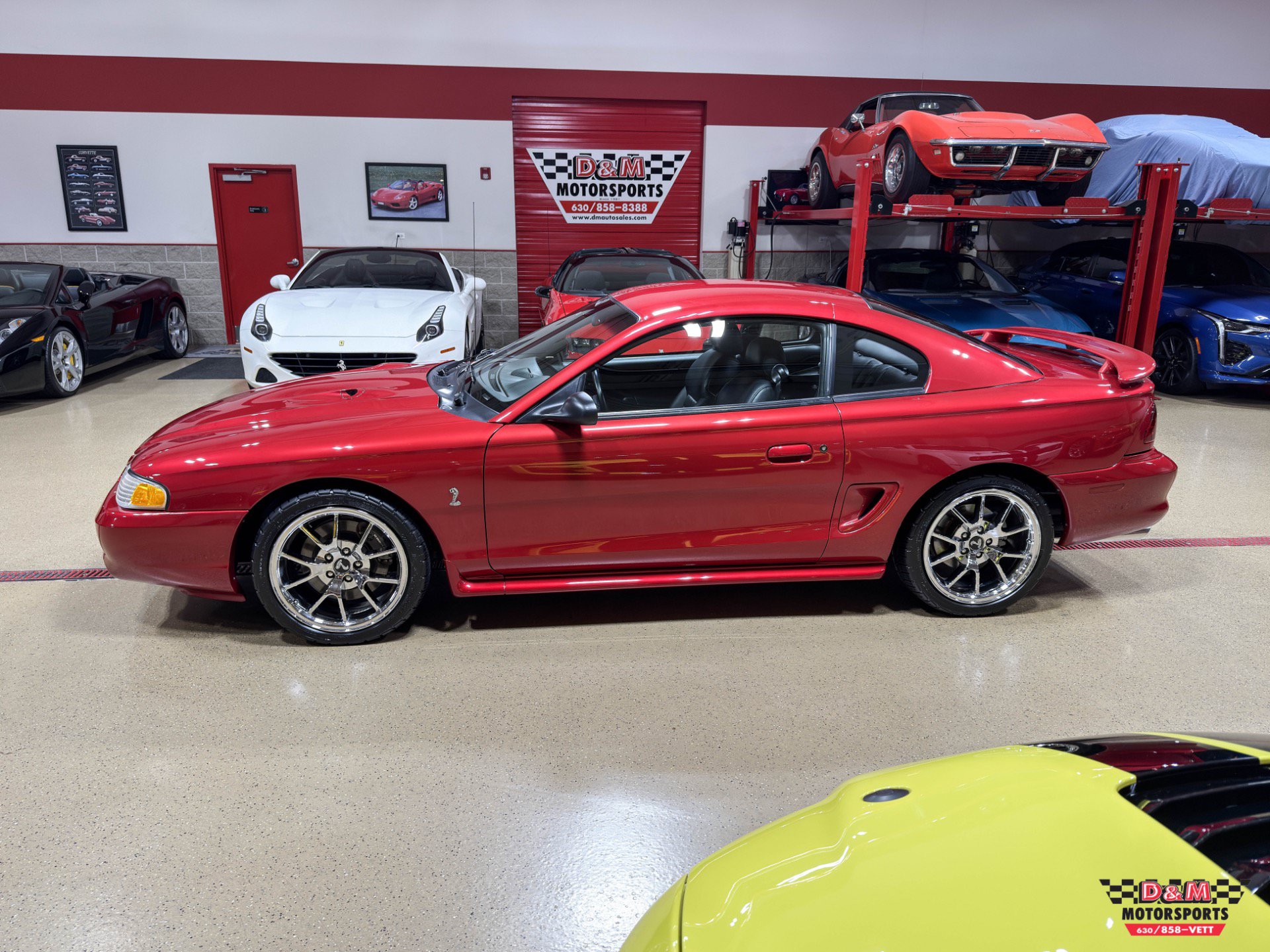 Used 1996 Ford Mustang Cobra RWD image 2