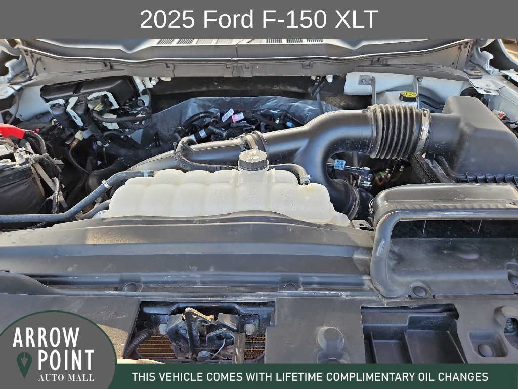 Used 2025 Ford F150 XLT w/ Equipment Group 301A Standard RWD image 14
