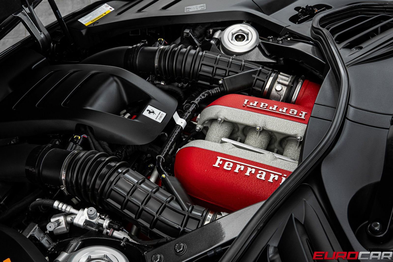 Used 2025 Ferrari Purosangue image 12