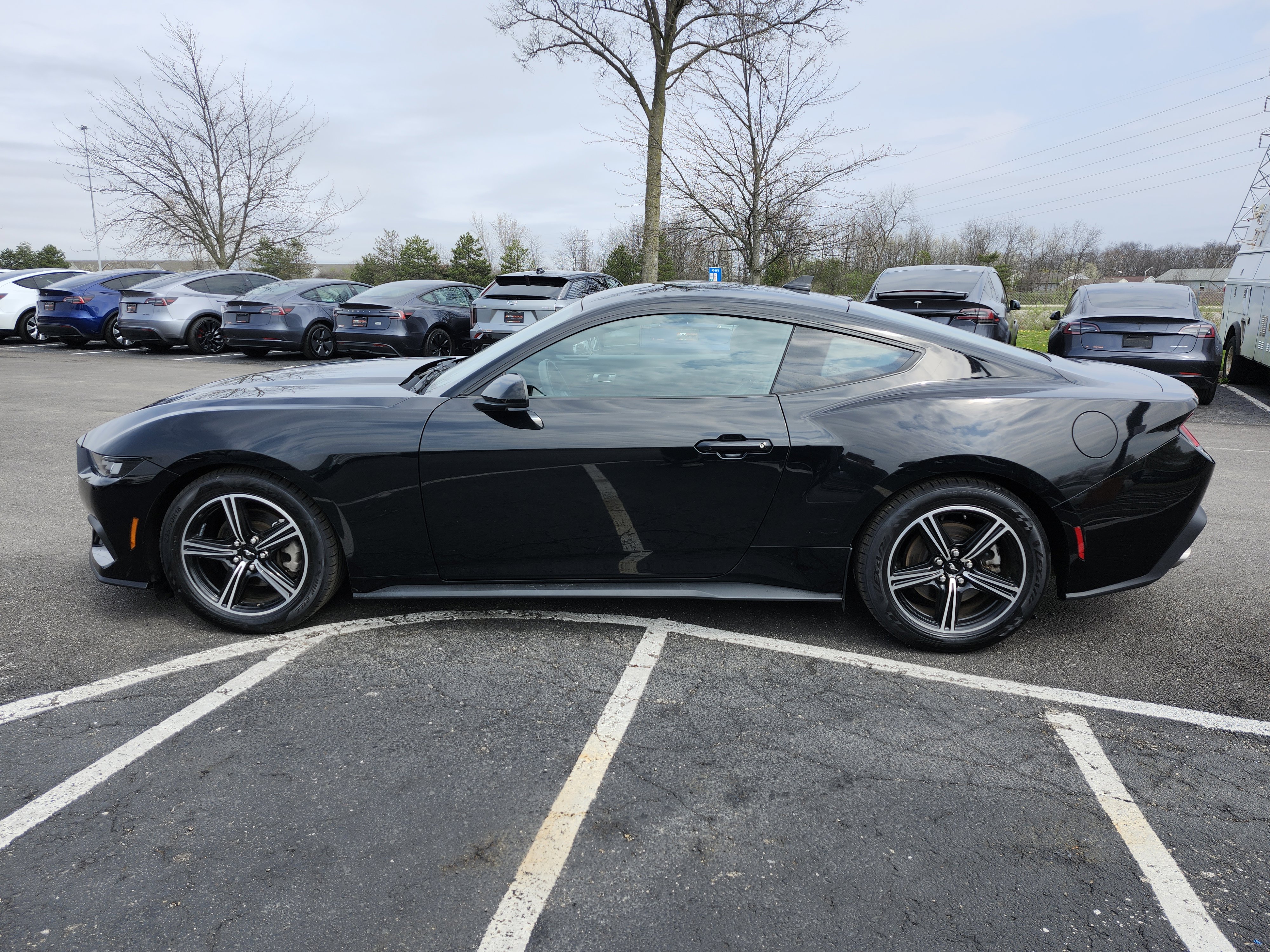 Used 2024 Ford Mustang Coupe image 14