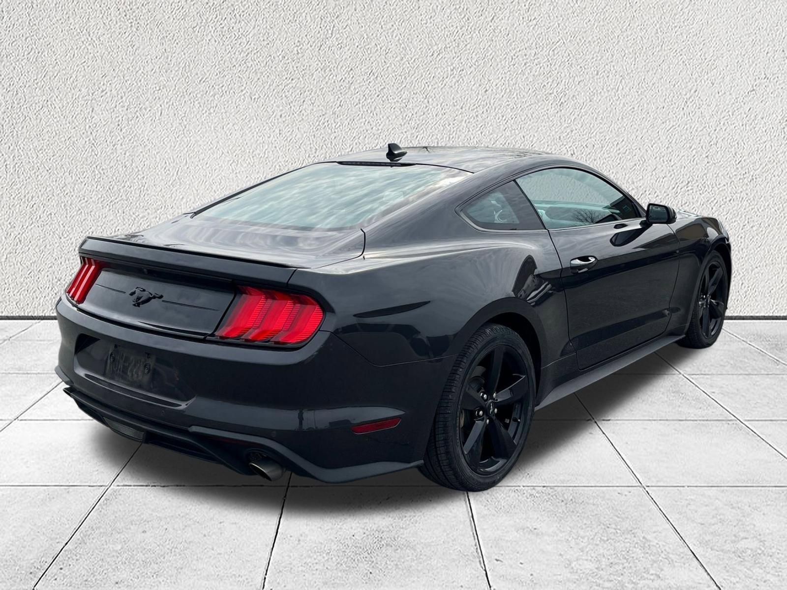 Used 2023 Ford Mustang Premium w/ Mustang Nite Pony Package image 8
