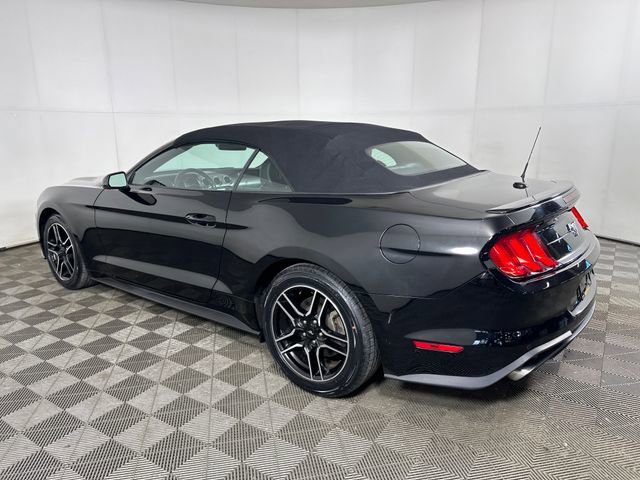 Used 2023 Ford Mustang Premium image 5