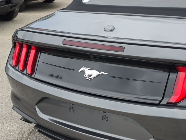 Certified 2019 Ford Mustang Premium w/ Equipment Group 201A RWD image 7