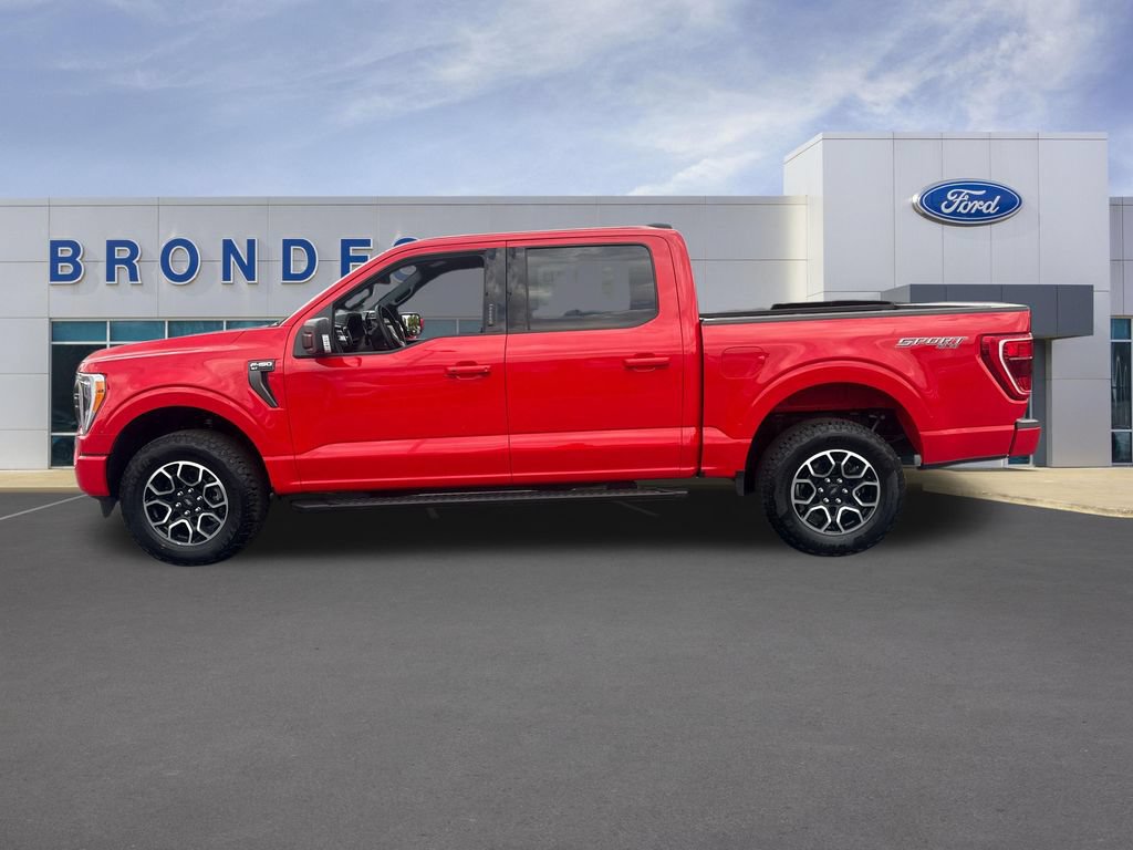 Used 2023 Ford F150 XLT w/ Equipment Group 302A High AWD/4WD image 1