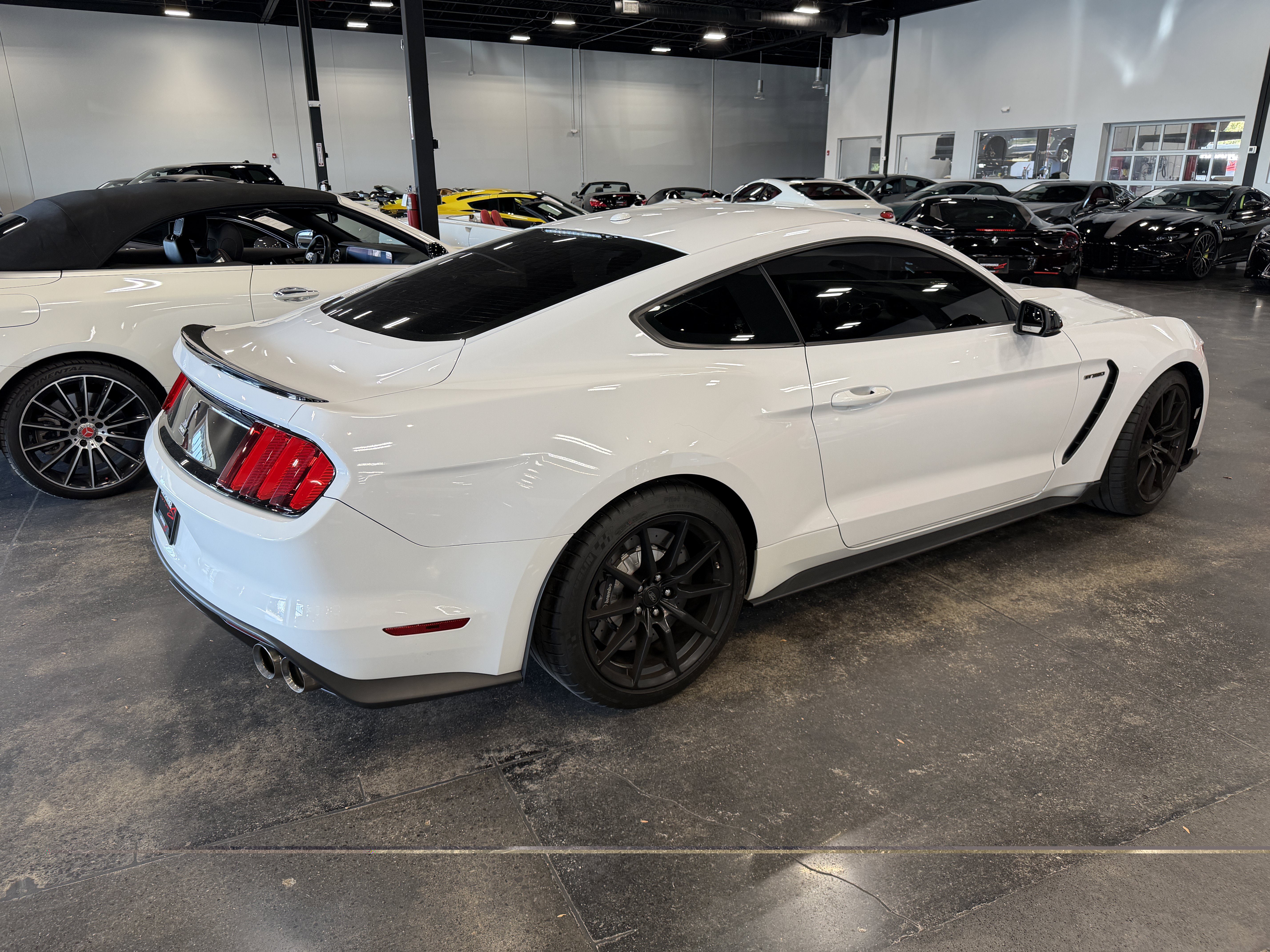 Used 2016 Ford Mustang Shelby GT350 w/ Technology Package RWD image 6