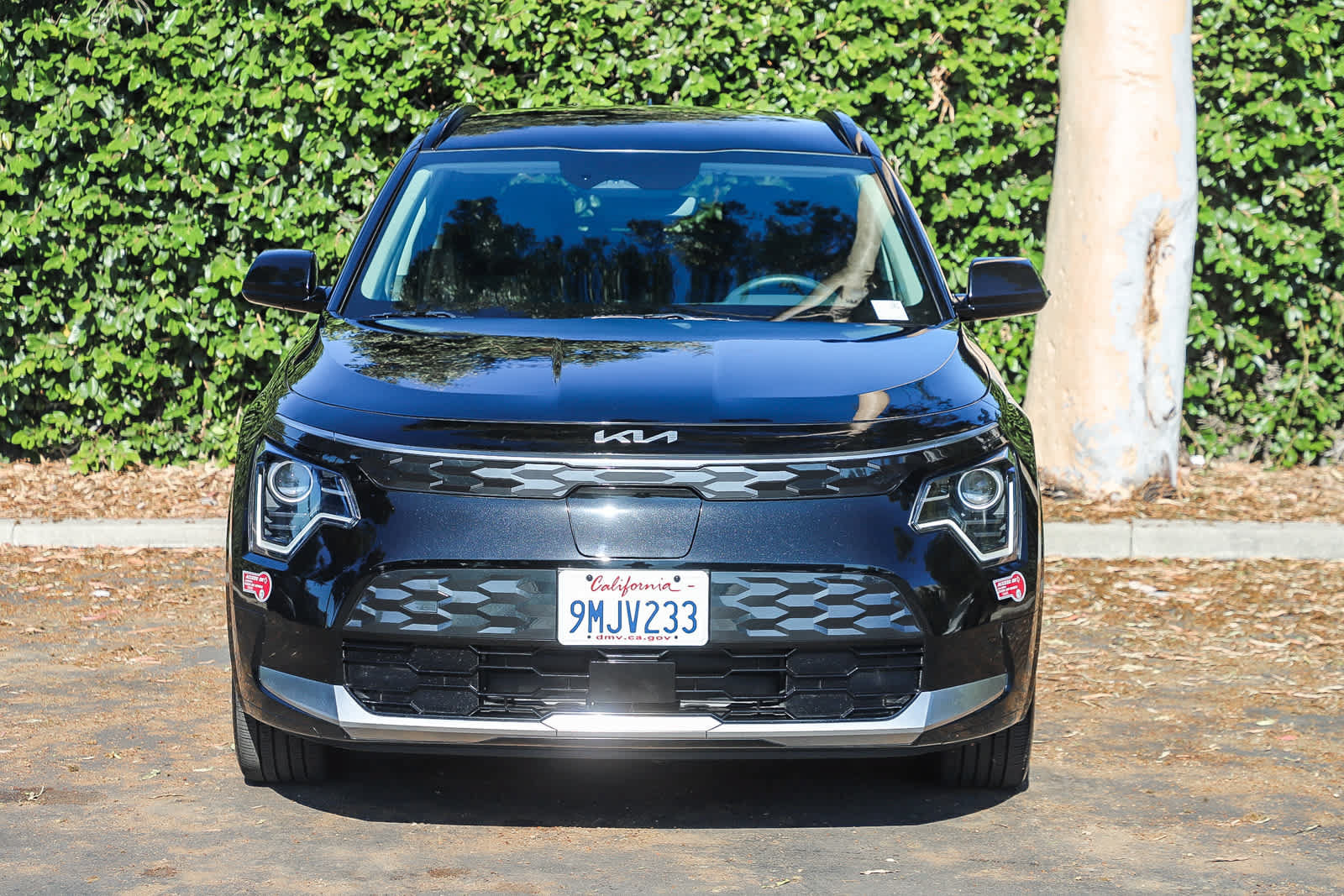 Used 2024 Kia Niro Wind FWD image 2
