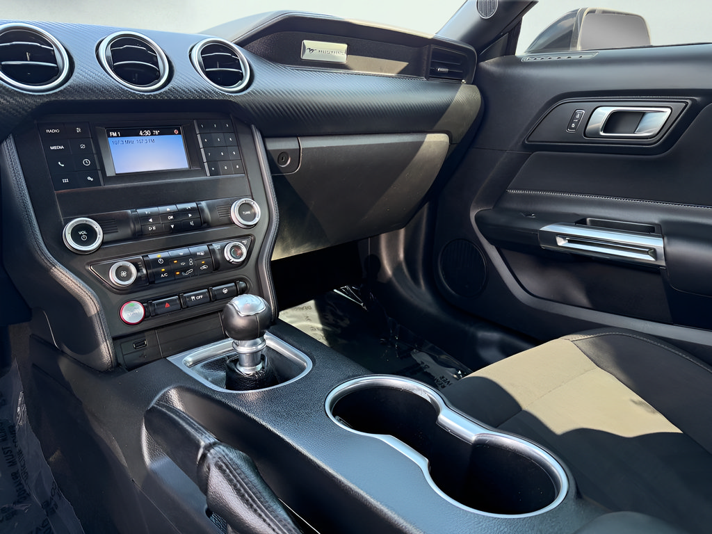 Used 2019 Ford Mustang Coupe RWD image 46